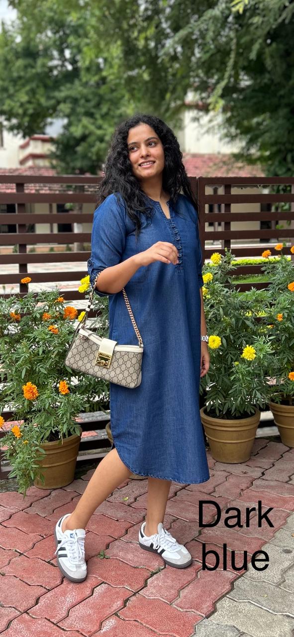 Mishka Blue Denim Dress