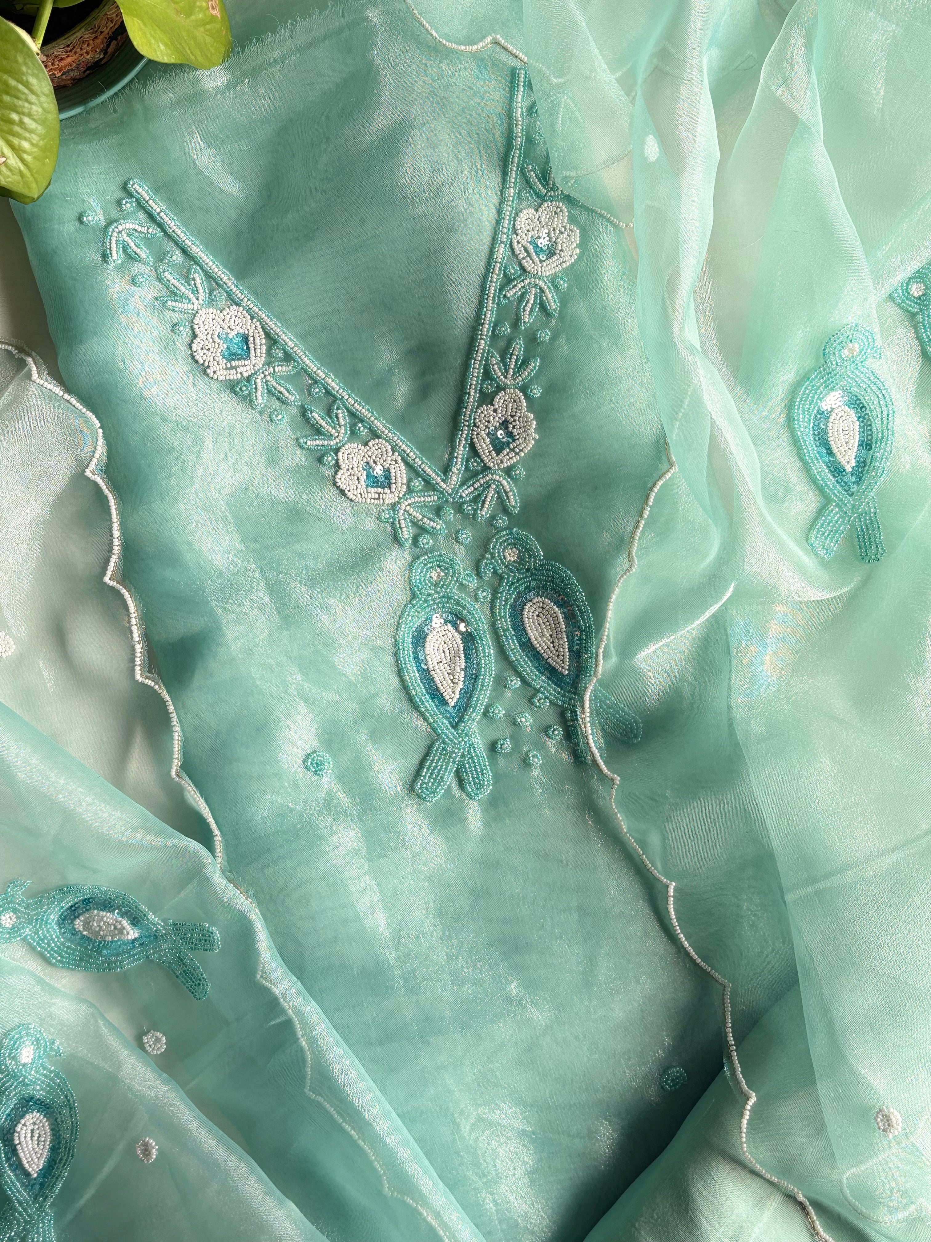 Riwa- Pastel Green Organza Suit With Beautiful Pearl Neck Work