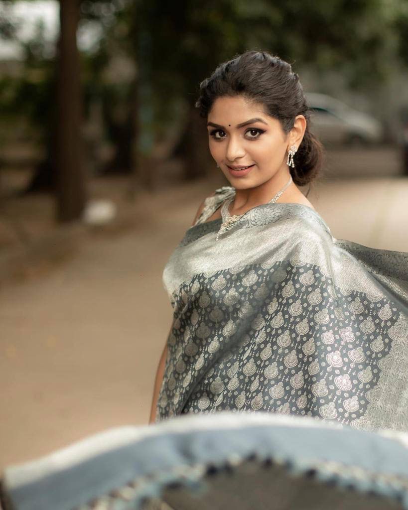 Grey Banarasi Soft Silk Saree With Blouse