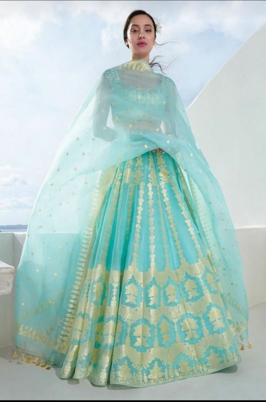 Light Blue Banarasi Organza Silk Lehenga
