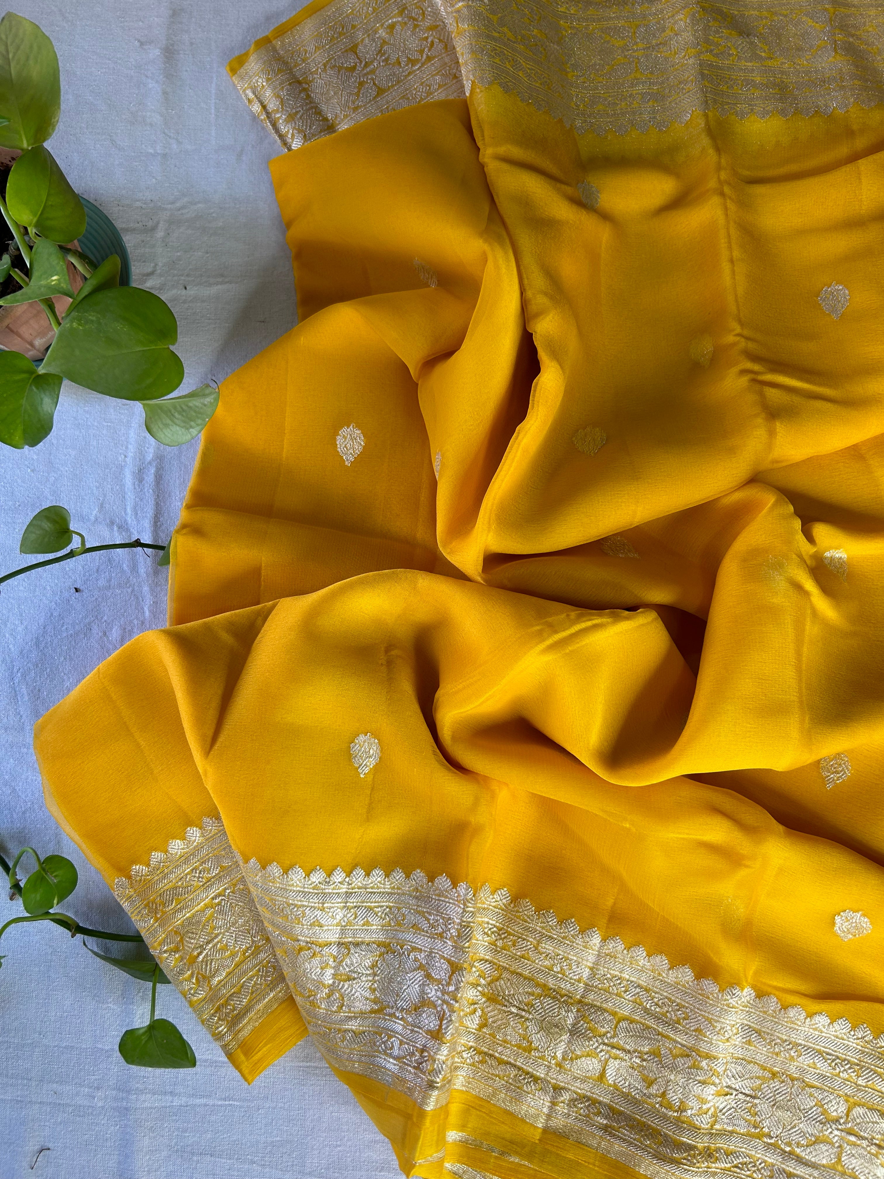 Haldi Yellow Banarasi Khaddi Georgette Jaal Saree