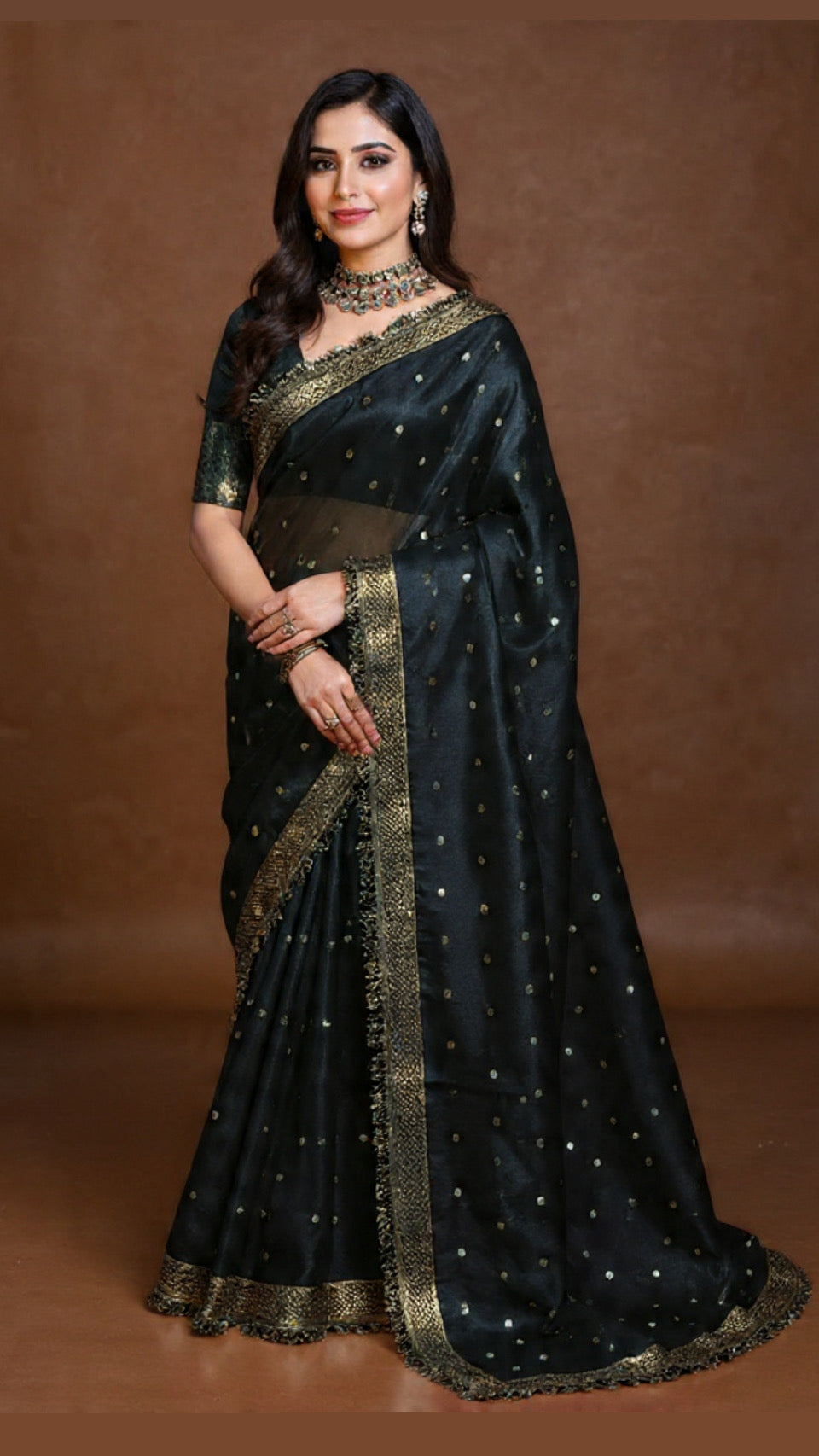 Black Banarasi Tissue Saree