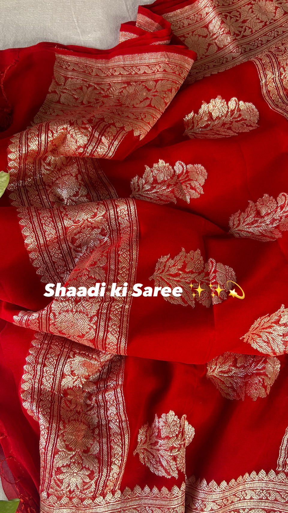 Royal Red Banarasi Jaal Georgette Saree