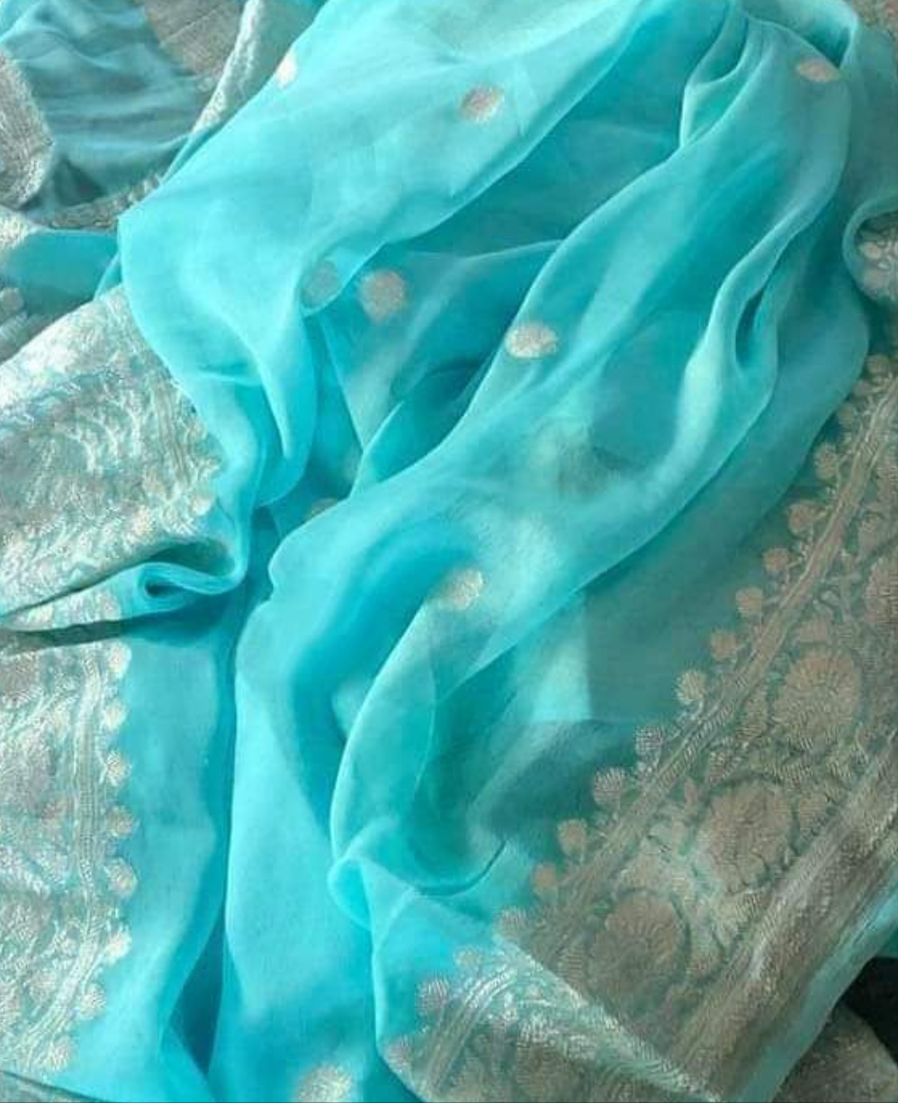 Aquatic Blue Banarasi Khaddi Chiffon Jaal Saree