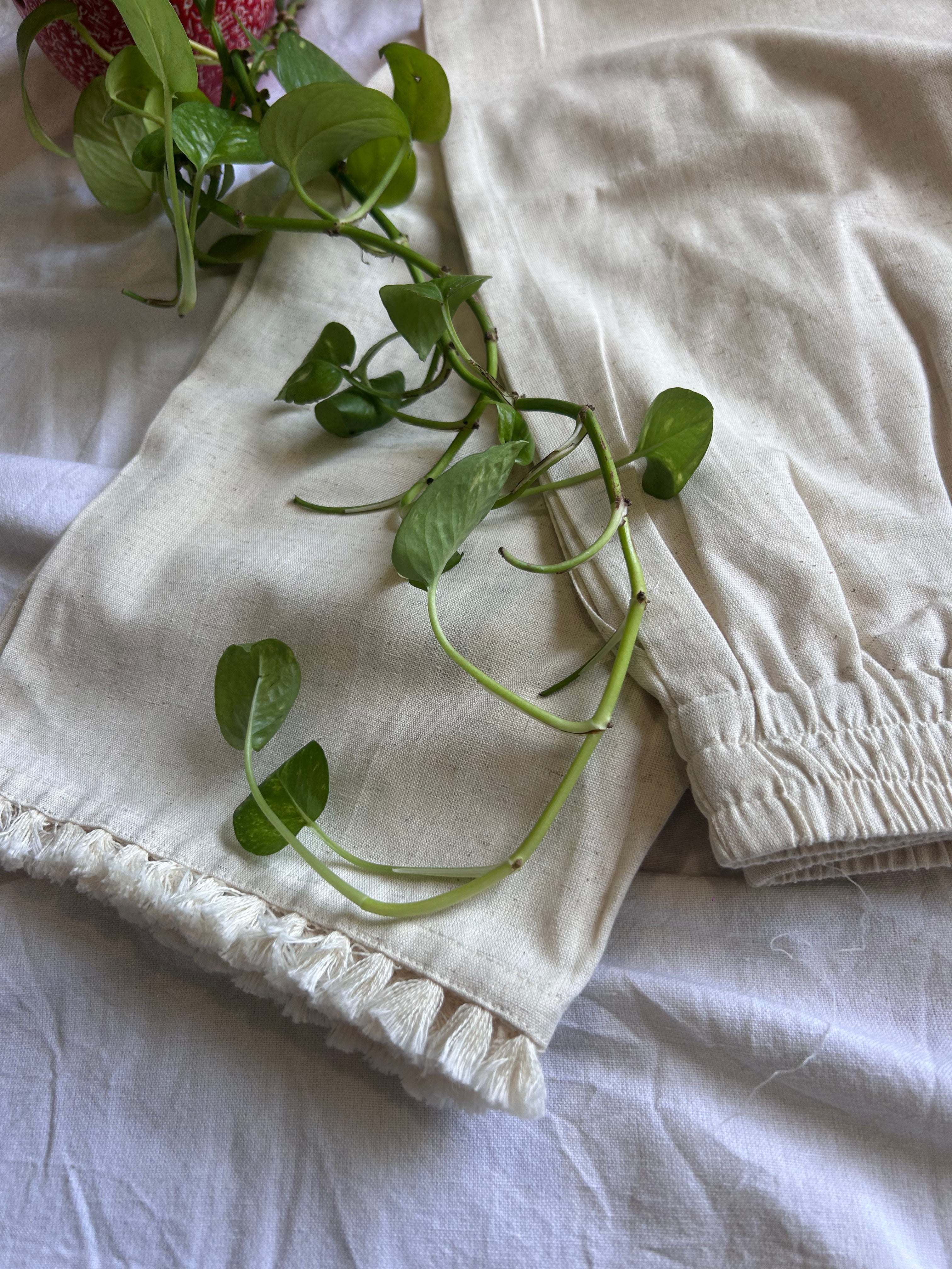 Jivika Cream Straight Pant In Cotton With Lac