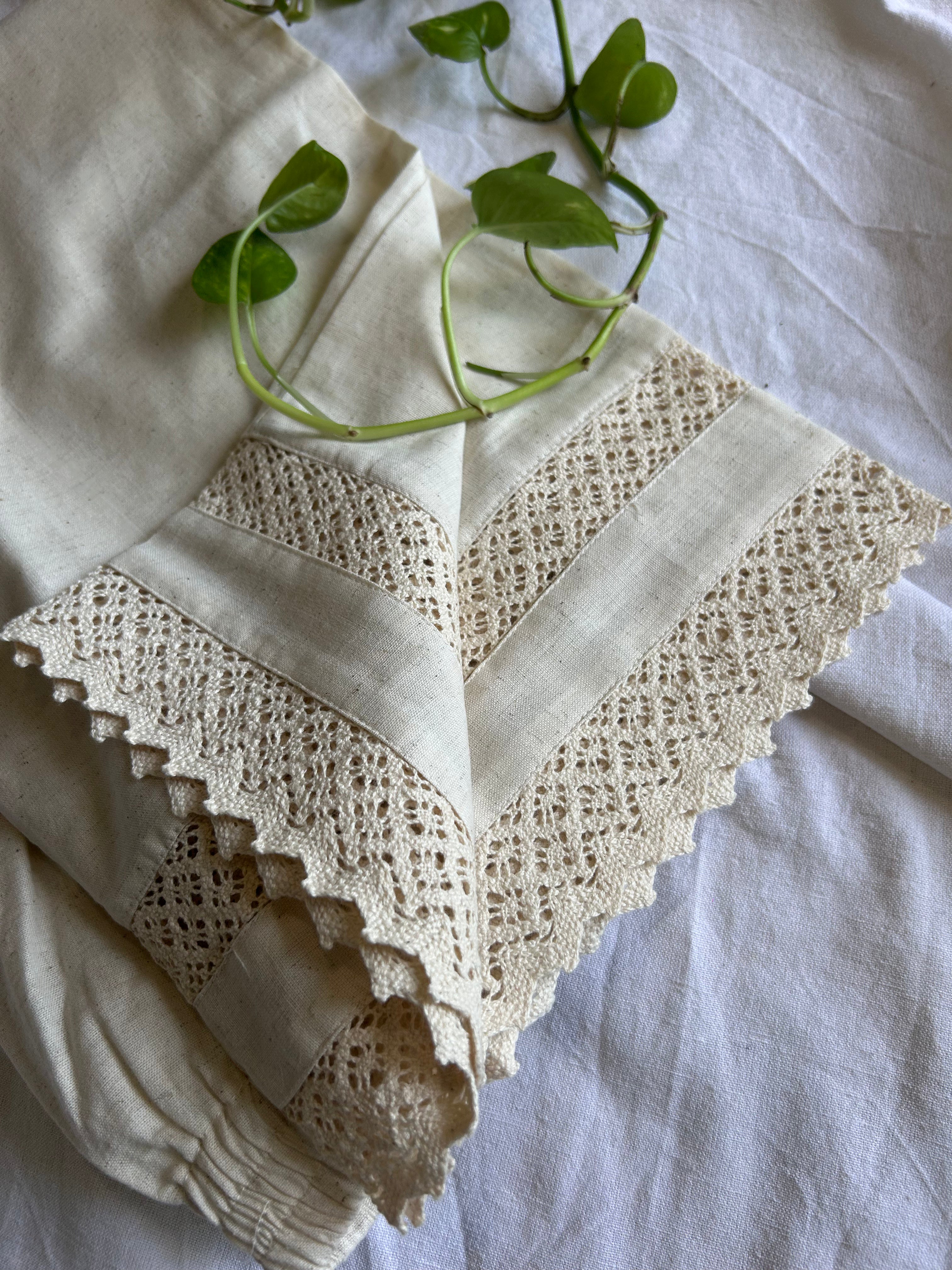 Cream Straight Pant In Cotton With Cutwork Lac
