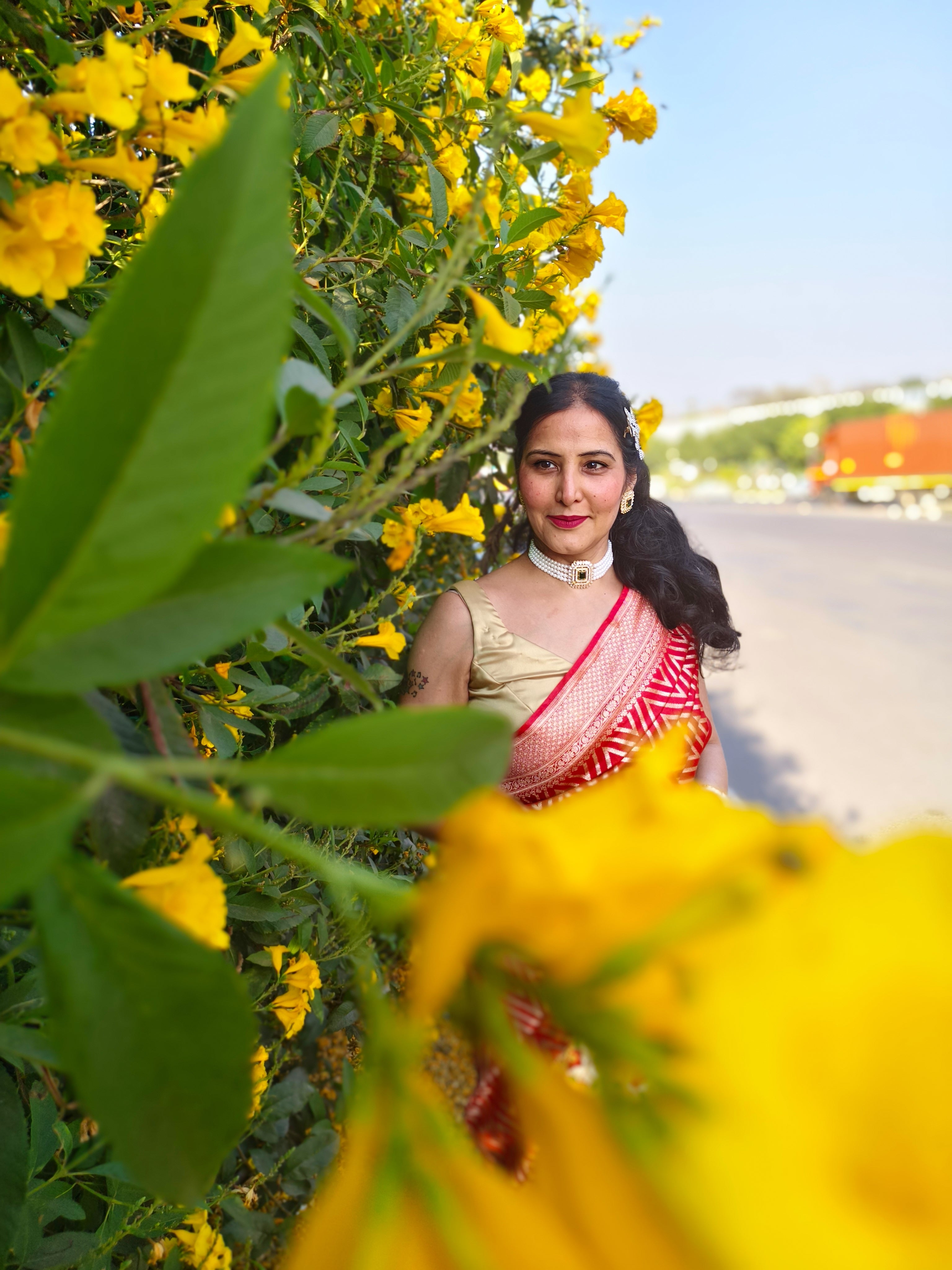 Red Meenakari Karwachauth Saree