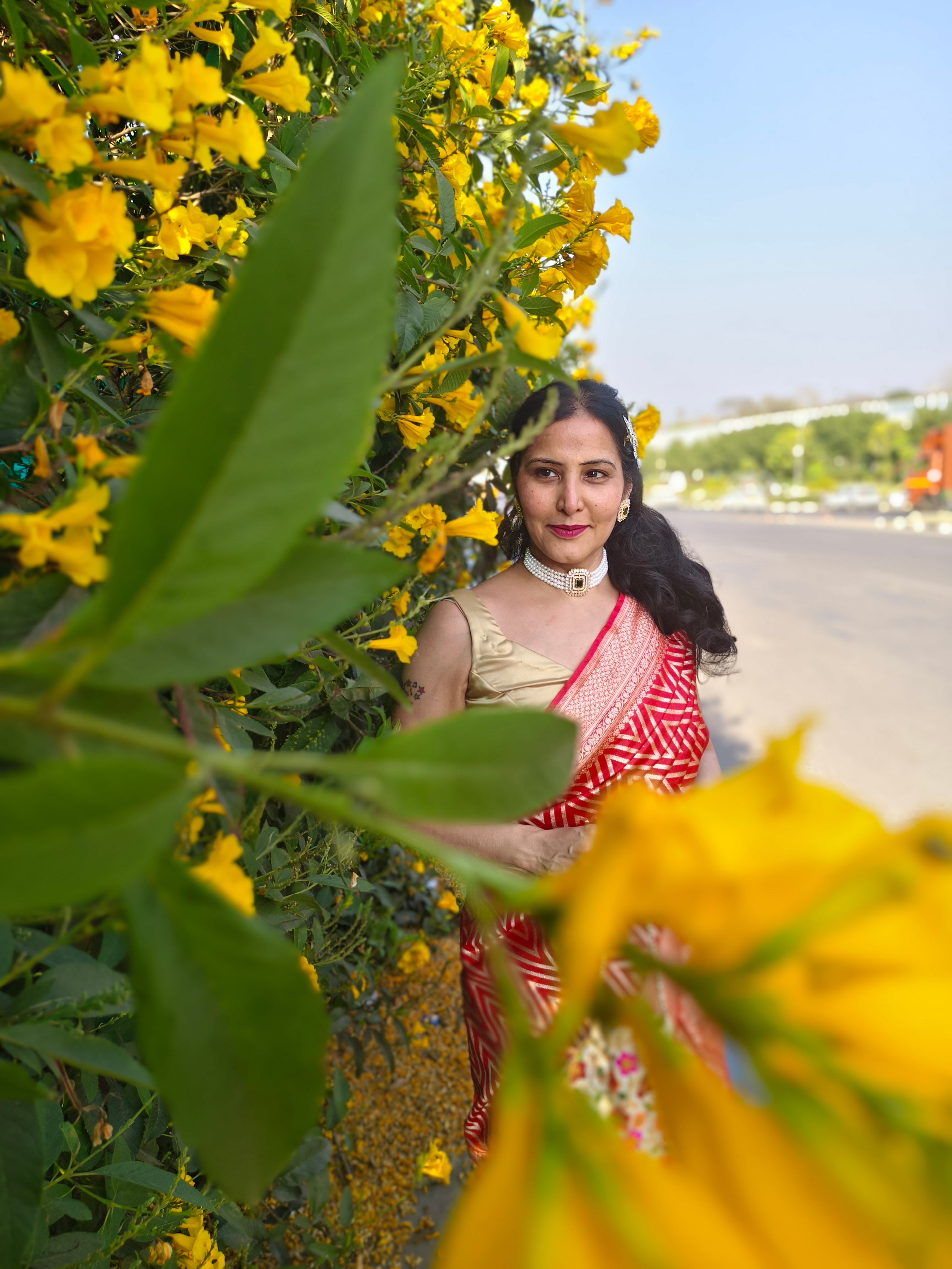 Red Meenakari Karwachauth Saree