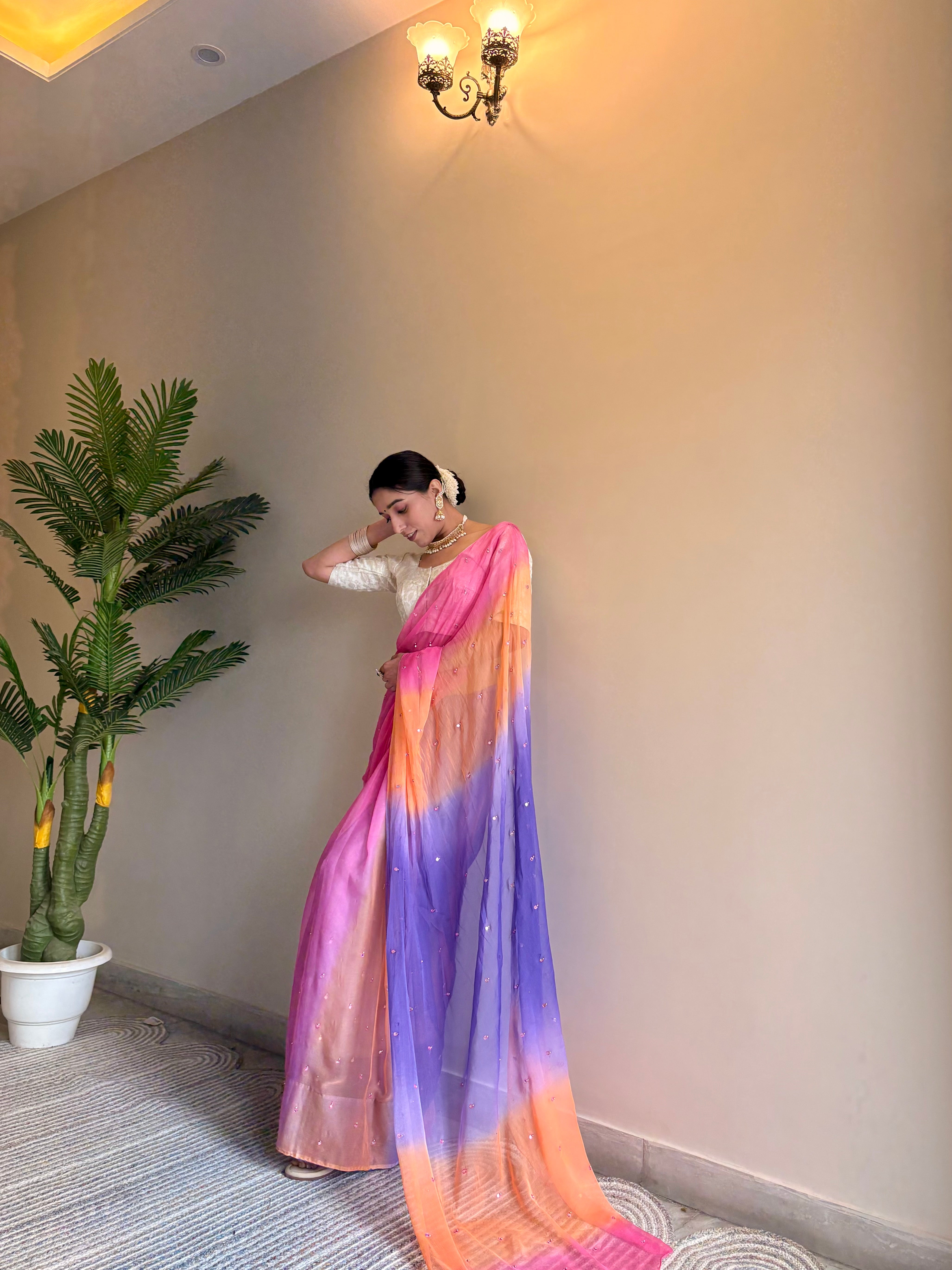 Chiffon Multicolor Mirror Work Saree