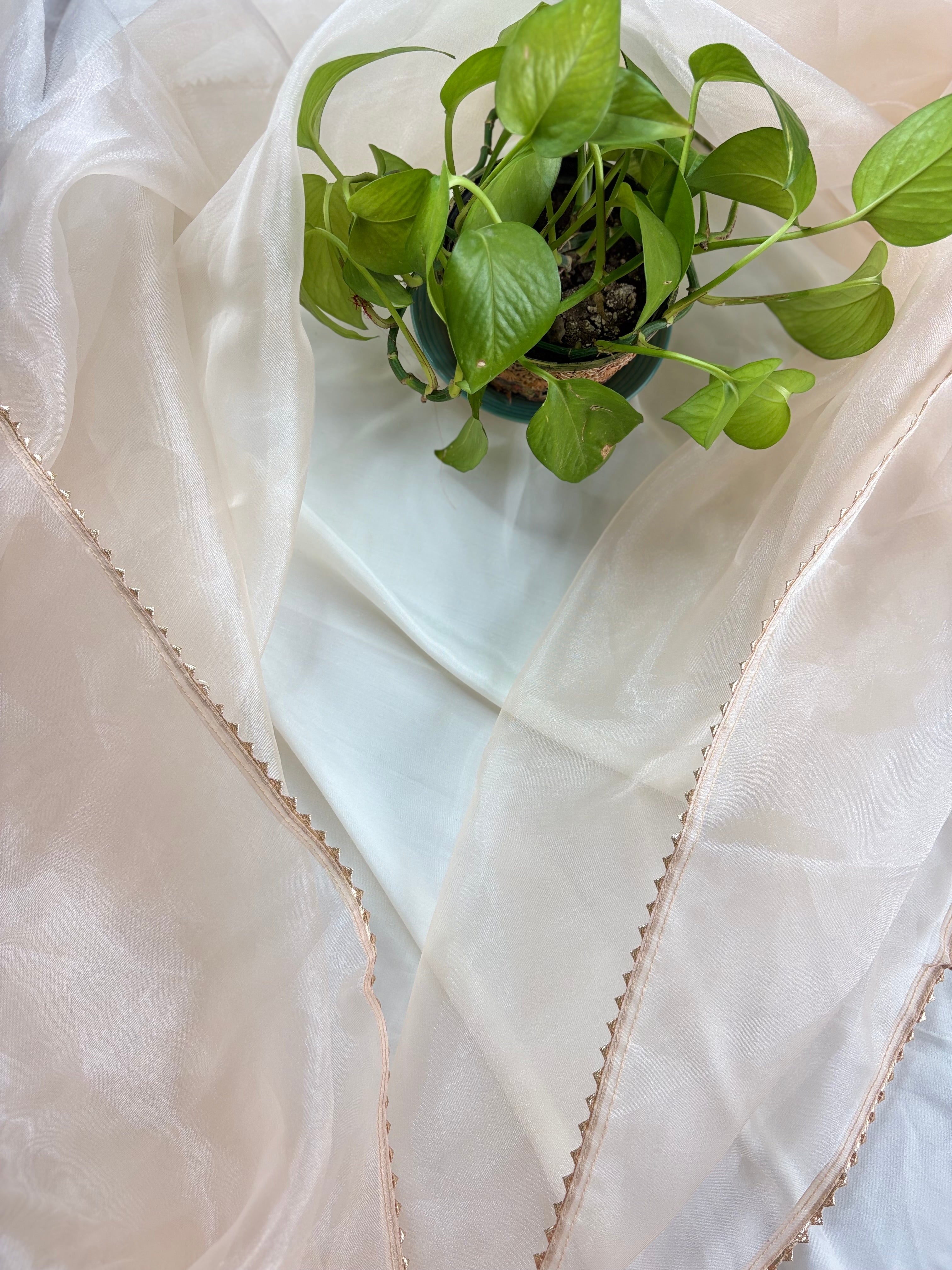 Oorja- Off White Organza Suit With Heavy Pearl Neck Work