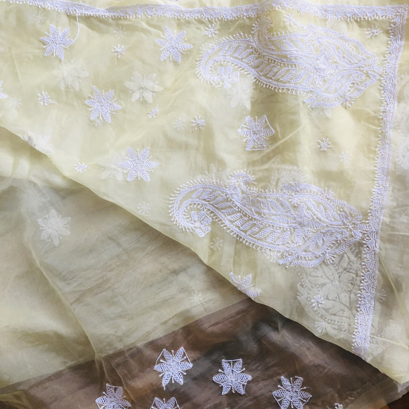 Cream Organza Chikankari Saree