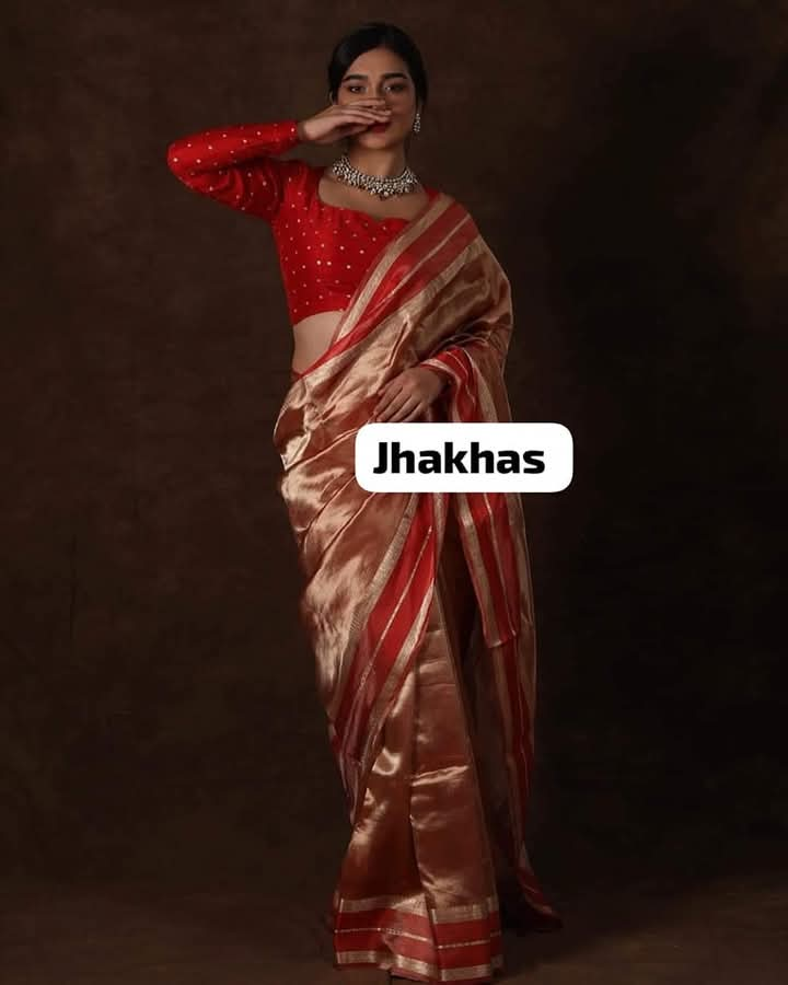 Red Shimmer Banarasi Handloom Tissue Zari Border Silk Saree