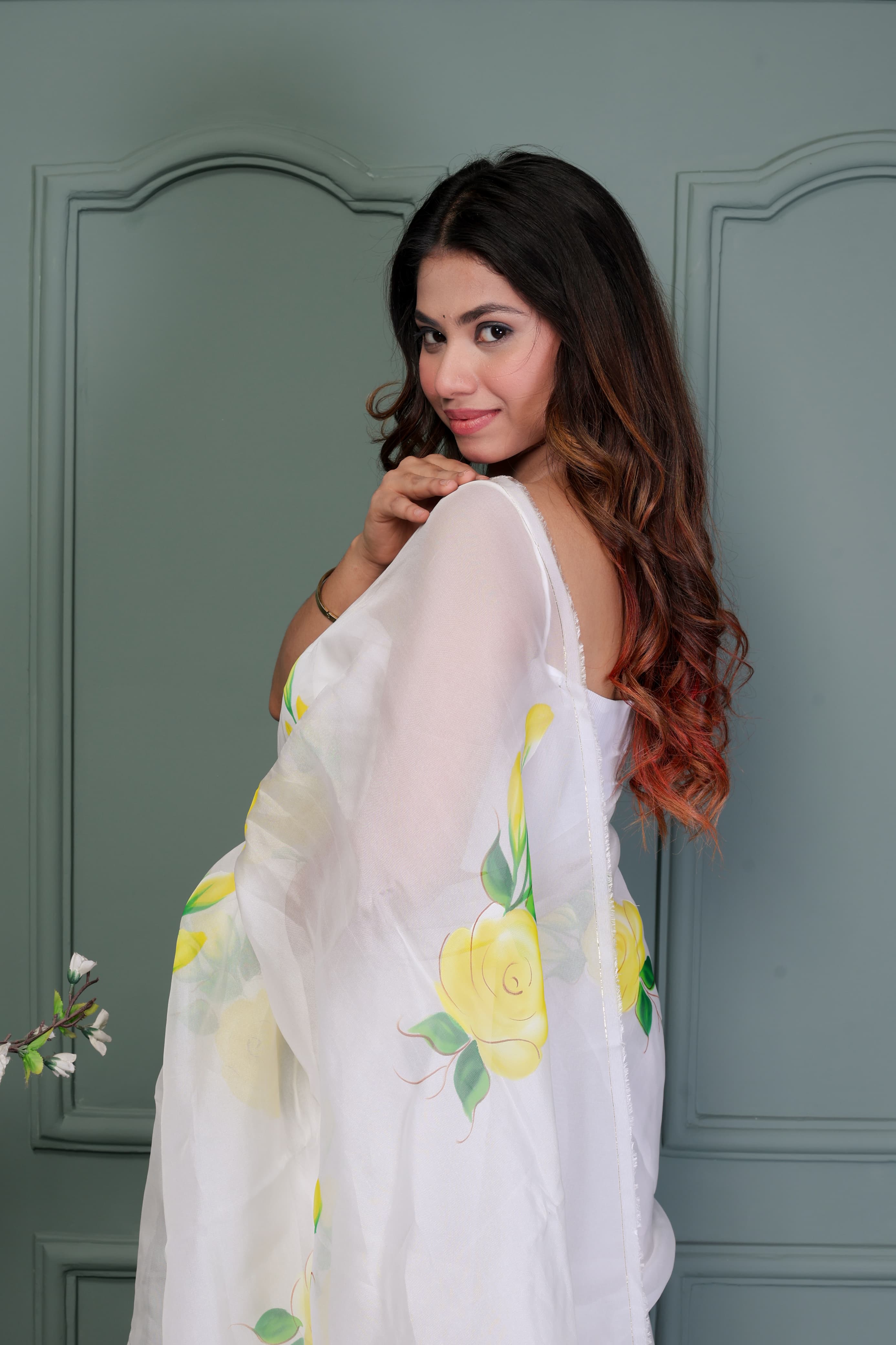 Organza Hand Painted Saree In White