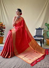 Red  Patola Silk Saree