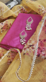 Pink Punjabi Salwar Suit With Organza Dupatta