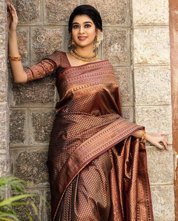 Banarasi Soft Silk Saree