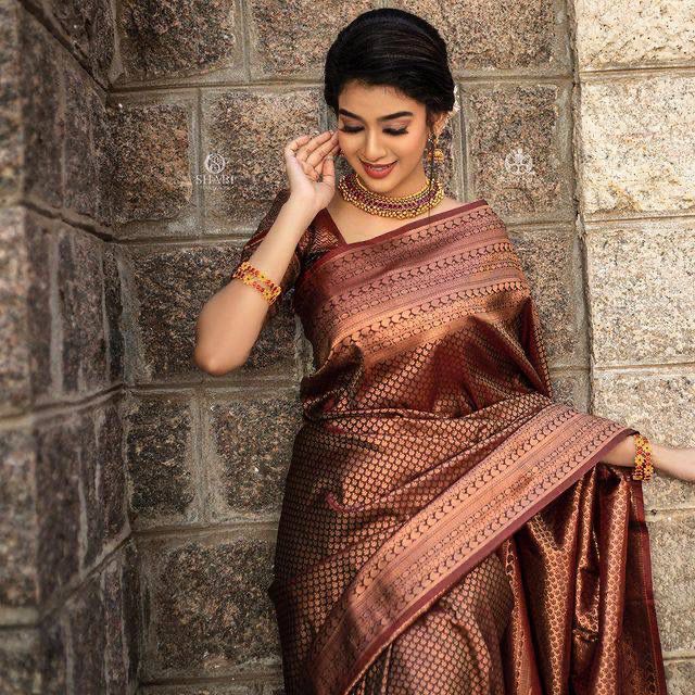 Brown Banarasi Soft Silk Saree With Blouse