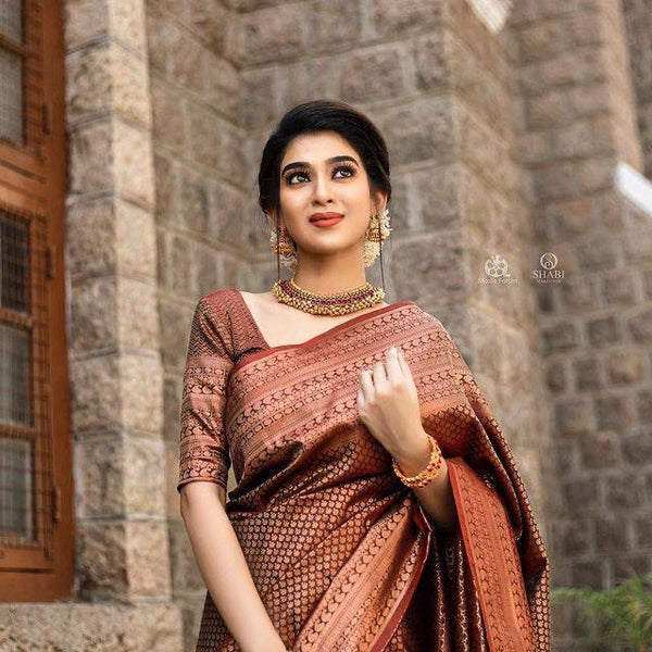 Brown Banarasi Soft Silk Saree With Blouse