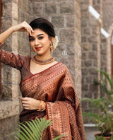 Brown Banarasi Soft Silk Saree With Blouse