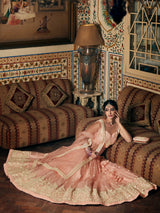 Pink Embroidery Semi Stitched Net Lehenga