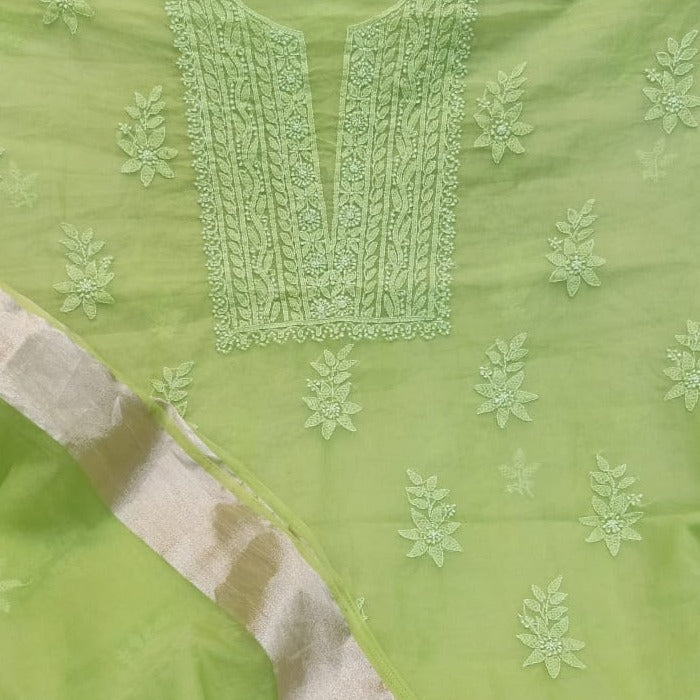 Apple Green Organza Chikankari Salwar Suit