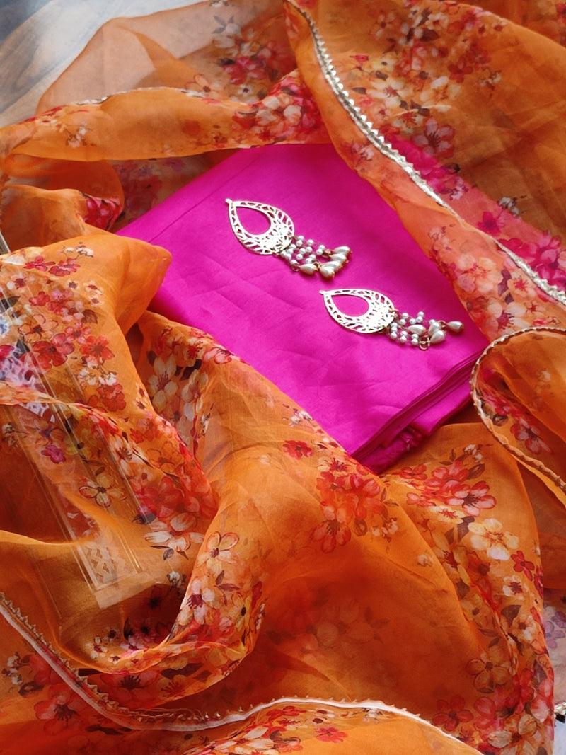 Pink Punjabi Salwar Suit With Organza Dupatta